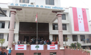 काँग्रेस केन्द्रीय कार्यसम्पादन समिति गठन, को-को बने ?