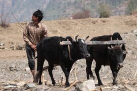 प्रकाशमा फेरिएका प्रदीप खड्का