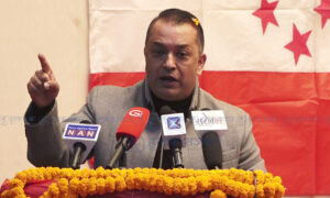कुनै व्यक्ति भ्रष्टाचार वा अपराधमा संलग्न हुन्छ भने पार्टीले त्यसको भार बोक्न हुँदैन : गगन थापा