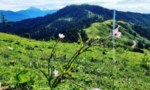 शैलुङ : प्रकृतिको अनुपम छटासँग रमाउन चाहनेहरुका लागि मनमोहक गन्तव्य