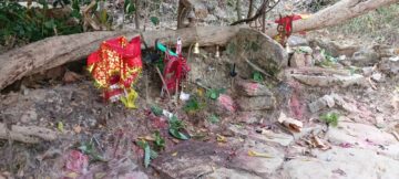 जहाँ बिगार गरे रातभर बाघ कराउँछ
