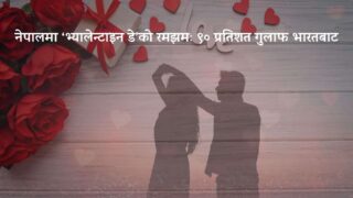नेपालमा ‘भ्यालेन्टाइन डे’को रमझम : ९० प्रतिशत गुलाफ भारतबाट